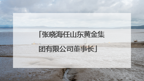 张晓海任山东黄金集团有限公司董事长