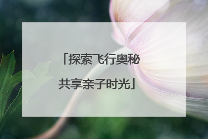 探索飞行奥秘 共享亲子时光