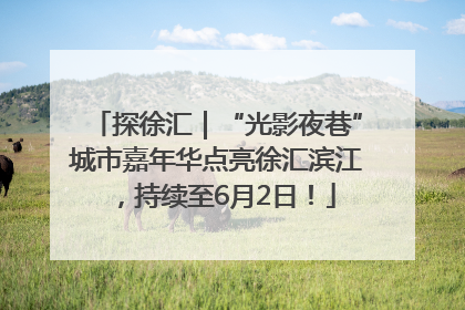 探徐汇｜“光影夜巷”城市嘉年华点亮徐汇滨江，持续至6月2日！