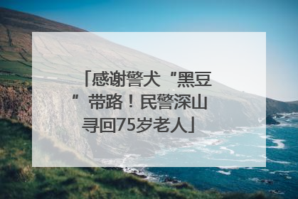 感谢警犬“黑豆”带路！民警深山寻回75岁老人