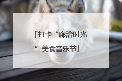 打卡“廊洽时光”美食音乐节