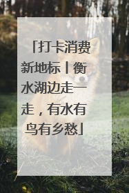 打卡消费新地标丨衡水湖边走一走，有水有鸟有乡愁