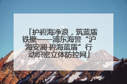 护碧海净浪，筑蓝盾铁壁——浦东海警“沪海安澜·碧海蓝盾”行动织密立体防控网