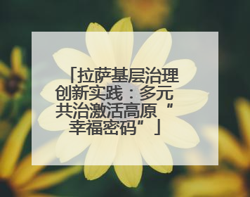 拉萨基层治理创新实践：多元共治激活高原“幸福密码”