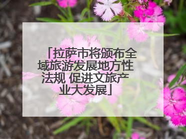 拉萨市将颁布全域旅游发展地方性法规 促进文旅产业大发展