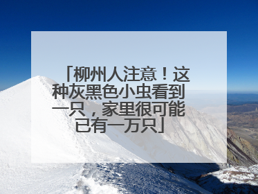 柳州人注意！这种灰黑色小虫看到一只，家里很可能已有一万只