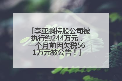 李亚鹏持股公司被执行约244万元，一个月前因欠税561万元被公告！