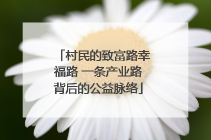 村民的致富路幸福路 一条产业路背后的公益脉络