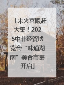 来火宫殿赶大集！2025中非经贸博览会“味道湖南”美食市集开启
