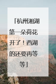 杭州湘湖第一朵荷花开了！西湖的还要再等等