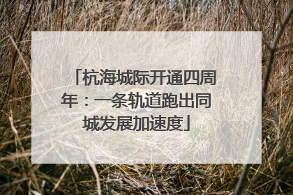 杭海城际开通四周年：一条轨道跑出同城发展加速度