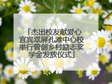 杰出校友献爱心 宜宾翠屏孔滩中心校举行曾剑乡村励志奖学金发放仪式