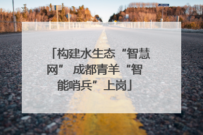 构建水生态“智慧网” 成都青羊“智能哨兵”上岗