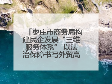 枣庄市商务局构建民企发展“三维服务体系” 以法治保障书写外贸高质量答卷