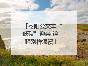 枣阳公交车“低碳”迎亲 诠释别样浪漫