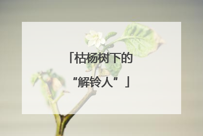 枯杨树下的“解铃人”