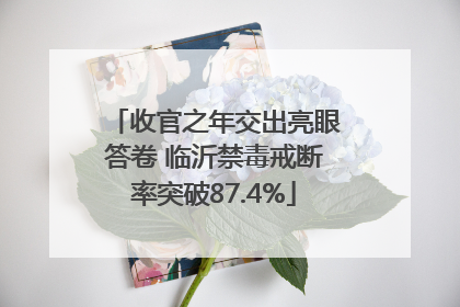 收官之年交出亮眼答卷 临沂禁毒戒断率突破87.4%
