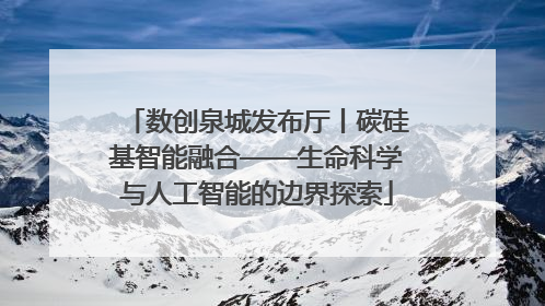 数创泉城发布厅丨碳硅基智能融合——生命科学与人工智能的边界探索