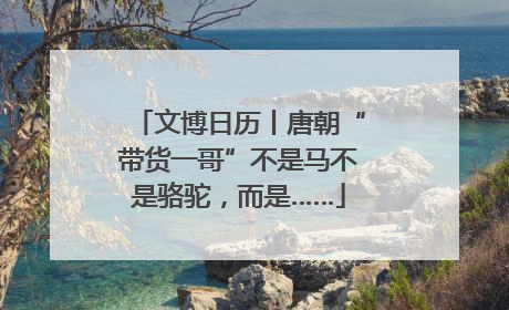 文博日历丨唐朝“带货一哥”不是马不是骆驼，而是……
