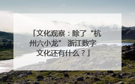 文化观察：除了“杭州六小龙” 浙江数字文化还有什么？