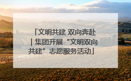 文明共建 双向奔赴｜集团开展“文明双向共建”志愿服务活动
