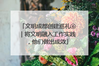 文明成都创建巡礼⑥｜将文明融入工作实践，他们做出成效