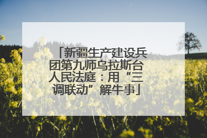 新疆生产建设兵团第九师乌拉斯台人民法庭：用“三调联动”解牛事