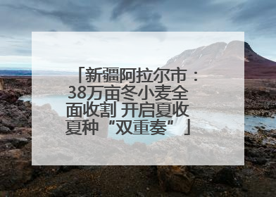 新疆阿拉尔市：38万亩冬小麦全面收割 开启夏收夏种“双重奏”