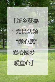 新乡获嘉：党员认领“微心愿” 爱心圆梦暖童心