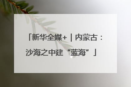 新华全媒+｜内蒙古：沙海之中建“蓝海”