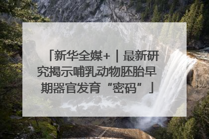 新华全媒+｜最新研究揭示哺乳动物胚胎早期器官发育“密码”