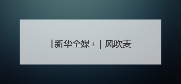 新华全媒+｜风吹麦浪好“丰”景——多地小麦机收一线见闻