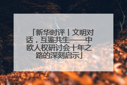 新华时评丨文明对话，互鉴共生——中欧人权研讨会十年之路的深刻启示
