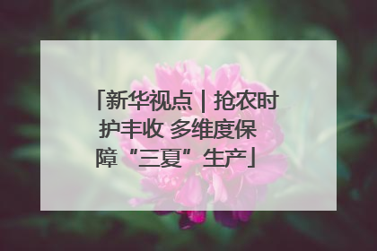 新华视点｜抢农时 护丰收 多维度保障“三夏”生产
