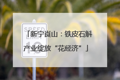 新宁崀山：铁皮石斛产业绽放“花经济”