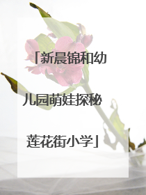 新晨锦和幼儿园萌娃探秘莲花街小学
