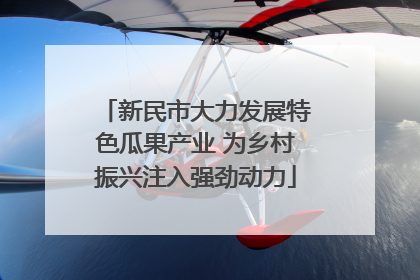 新民市大力发展特色瓜果产业 为乡村振兴注入强劲动力