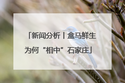 新闻分析丨盒马鲜生为何“相中”石家庄