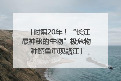 时隔20年！“长江最神秘的生物”极危物种鳤鱼重现赣江