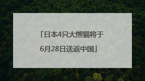 日本4只大熊猫将于6月28日送返中国