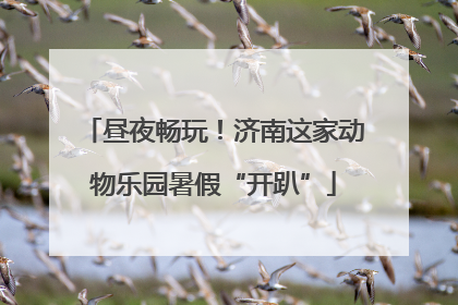 昼夜畅玩！济南这家动物乐园暑假“开趴”