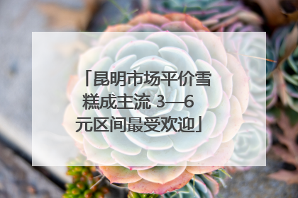 昆明市场平价雪糕成主流 3—6元区间最受欢迎