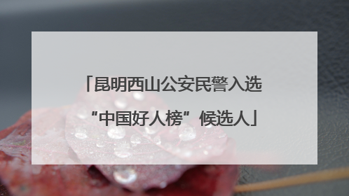 昆明西山公安民警入选“中国好人榜”候选人