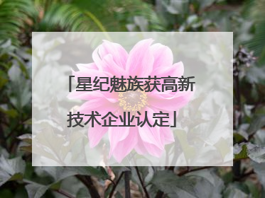星纪魅族获高新技术企业认定