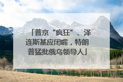 普京“疯狂”、泽连斯基应闭嘴，特朗普猛批俄乌领导人