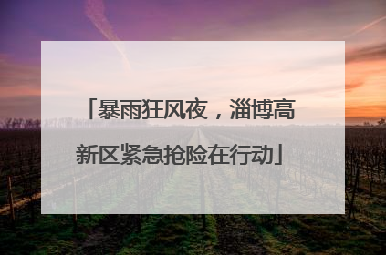 暴雨狂风夜，淄博高新区紧急抢险在行动