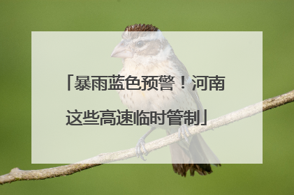 暴雨蓝色预警！河南这些高速临时管制