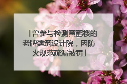 曾参与检测黄鹤楼的老牌建筑设计院，因防火规范疏漏被罚