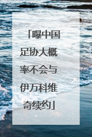 曝中国足协大概率不会与伊万科维奇续约