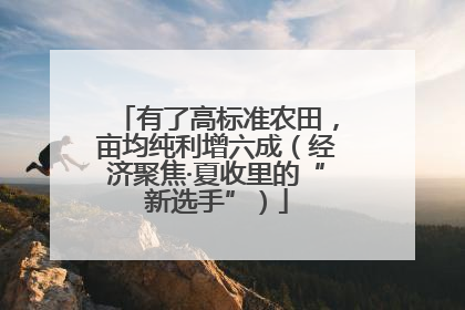 有了高标准农田，亩均纯利增六成（经济聚焦·夏收里的“新选手”）